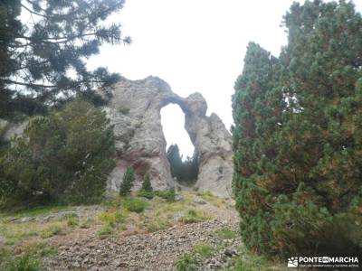 Valle del Tena - Pirineos Atlánticos; bosque finlandes rascafria pinar de valsain bonaval ruta siete